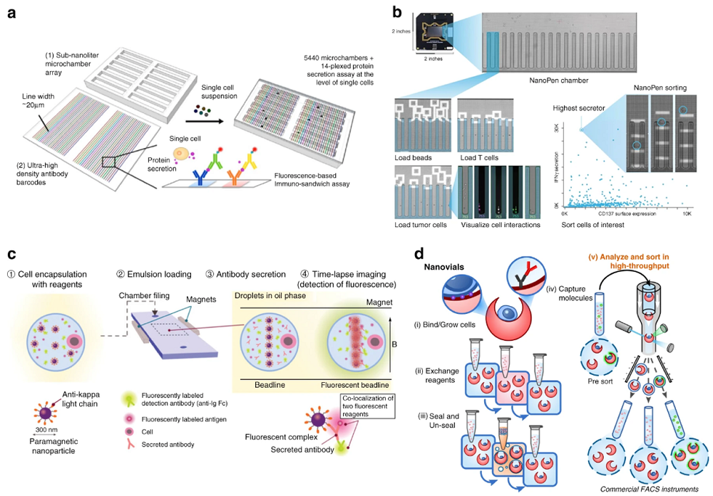 Fig.1 Cellular effects mediated by protein kinases. (OA Literature)